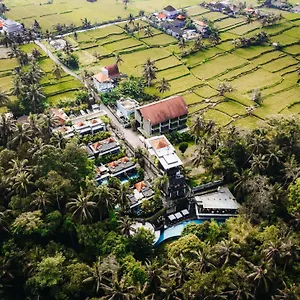 Resort The Ning